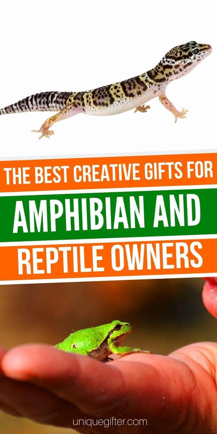 Gift Ideas For People Who Love Reptiles & Amphibians | Gifts For Snake Lovers | Gifts For Amphibian Lovers | Gifts For Reptile Fanatics | #gifts #giftguide #presents #amphibians #reptiles #unqiuegifter
