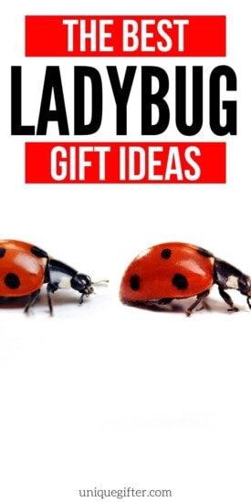 Best Gifts for Ladybug Lovers | Ladybug Presents | Ladybug Gift Ideas | Creative Ladybug Gifts | Fantastic Gifts For Ladybug Lovers | #gifts #giftguide #presents #ladybug #uniquegifter