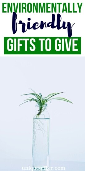 Best Environmentally Friendly Gift Ideas Unique Gifter