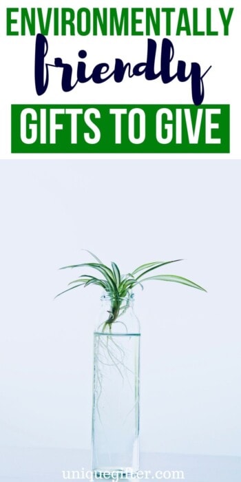 Best Environmentally Friendly Gift Ideas | Environmentally Friendly Presents | Creative Gifts That Are Good For The Environment | #gifts #giftguide #presents #environment #uniquegifter