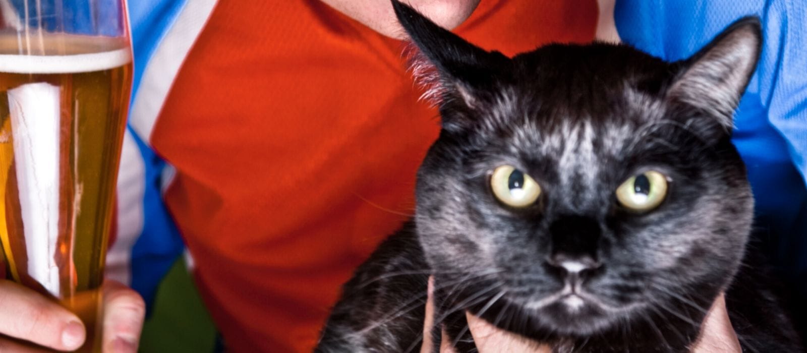 Best Gift Ideas For Cat Dads Unique Gifter best-gift-ideas-for-cat-dads-unique-gifter