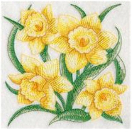 Daffodil Sketched Tea Towel gift for a March birthday