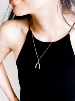 Gold Wishbone Necklace