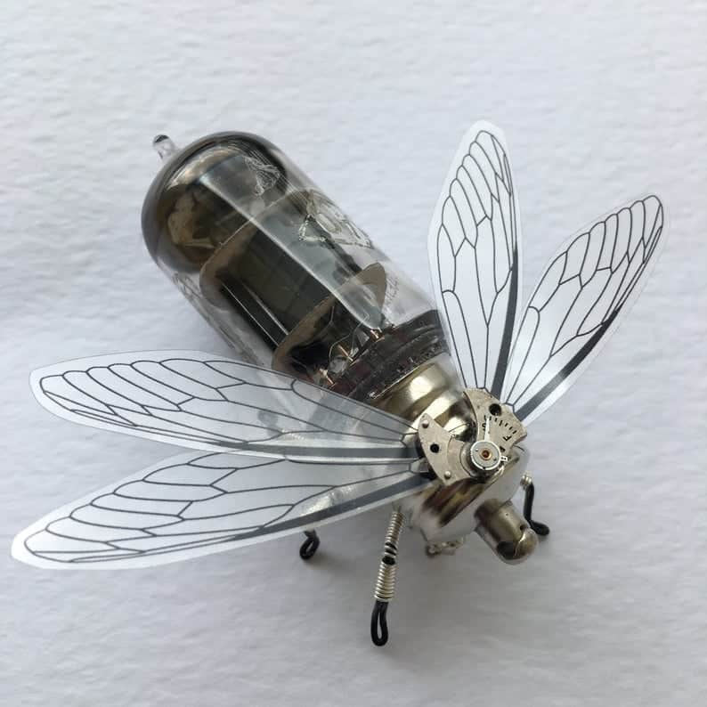 insect clockwork beetle 
