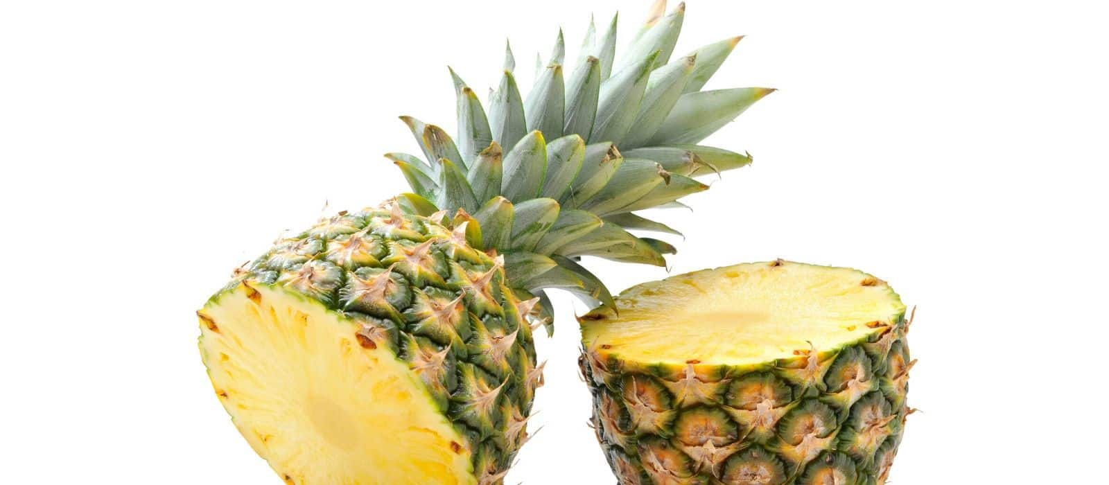 44 pineapple species crossword clue