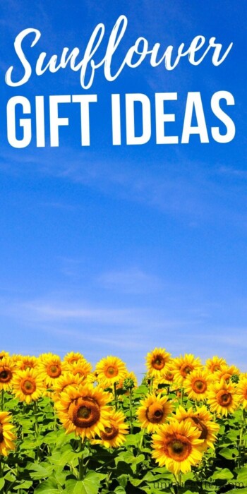 Best sunflower gift ideas | Sunflower Gifts | Beautiful Sunflower Presents | Sunflower Themed Gifts For Everyone | #gifts #sunflower #giftguide #presents #flower #uniquegifter