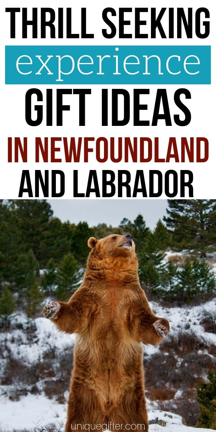 Adrenaline Junkie Experience Gifts in Newfoundland | Creative Experience Gift Ideas | Adventure Gifts For People Who Love Thrills | Thrilling Presents In Newfoundland | Awesome Gift Ideas | #gifts #giftguide #presents #newfoundland #adventure #experience #thrills #uniquegifter