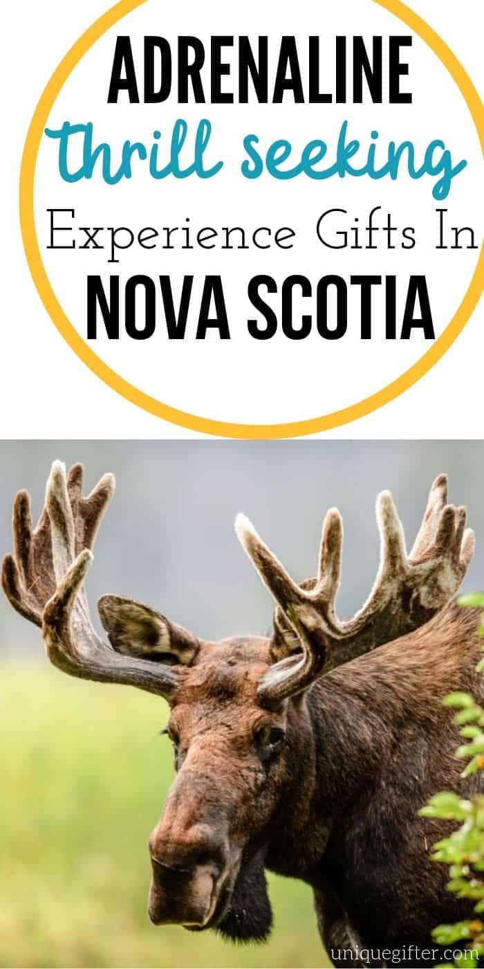 Adrenaline Junkie Experience Gift Ideas in Nova Scotia | Nova Scotia Presents | Best Presents For Adventure | Creative Adventure Gifts | Experience Gift Ideas | #gifts #giftguide #presents #novascotia #uniquegifter