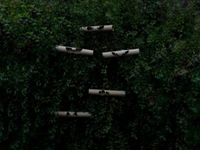 Paper towel eye rolls hung up in the tree