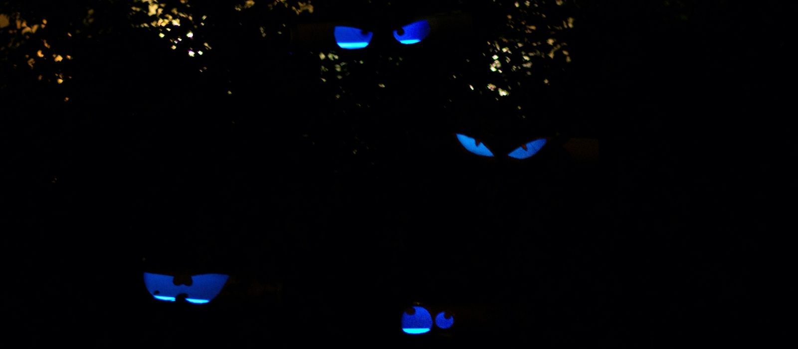 DIY Glowing Halloween Eyes Craft for Kids