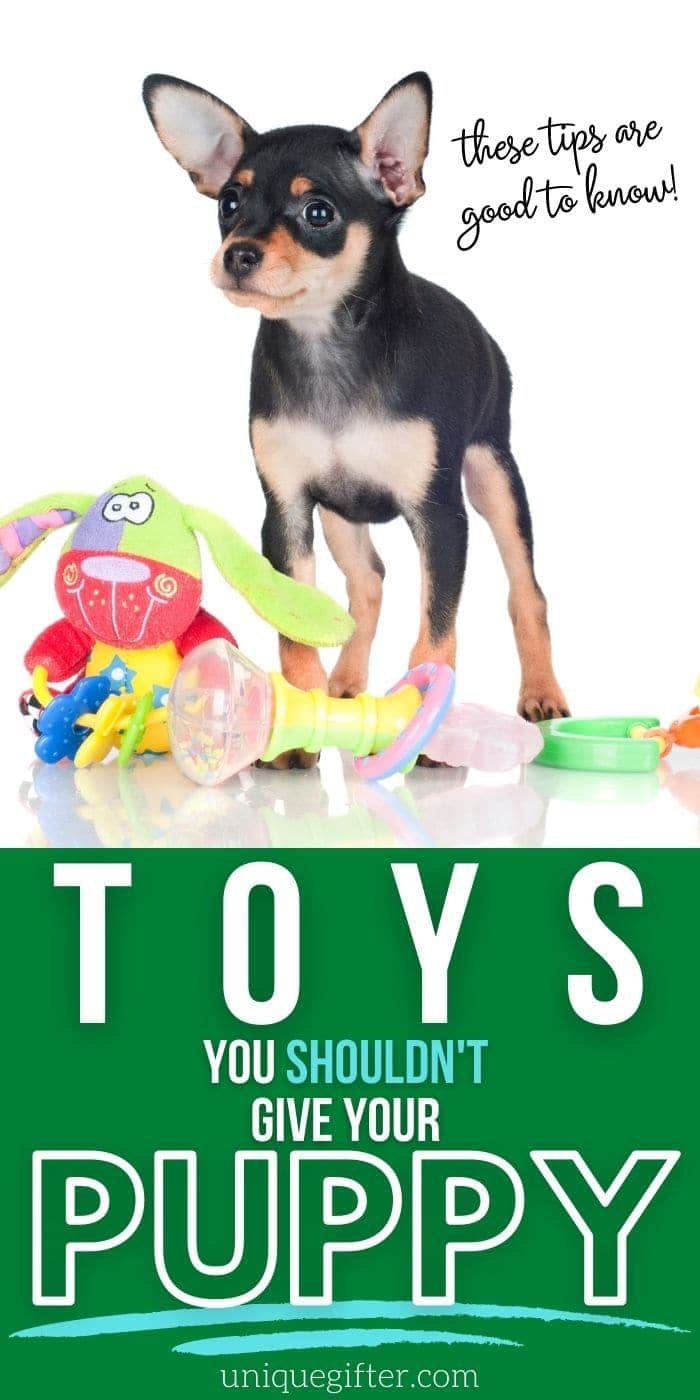 5 Toys you Shouldn’t Give Puppies to Chew