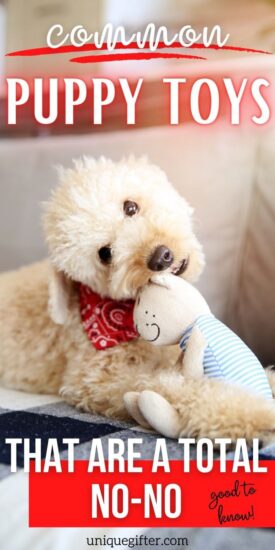 Puppy Toys | Common Things Dogs Shouldn't Chew on | Dog Chew Toys | What Toys are Safe for Dogs? | Safe Things for Dogs to Chew on | What Shouldn't Puppies Chew? | Is it Bad for Puppies to Use Chew Toys? | Safe Toys for Puppies | #puppy #dog #toy #pettoy #accessory #pets