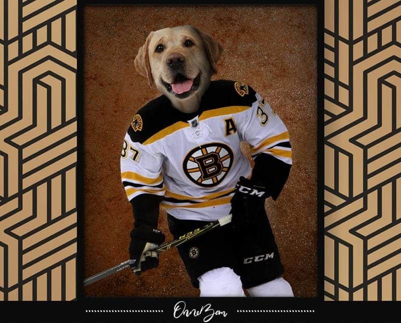 NHL pet portraits 