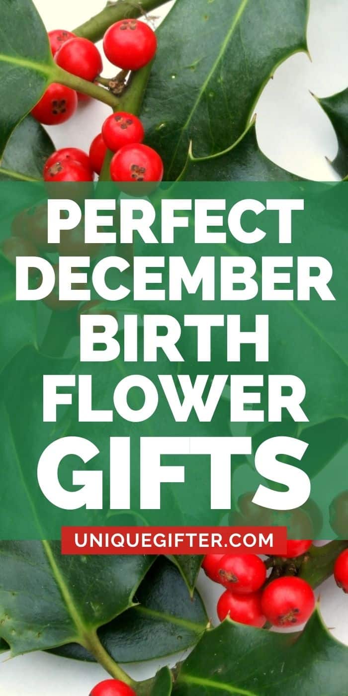 Best Birth Month Flower Gift Ideas for December Unique Gifter