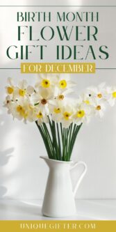 Best Birth Month Flower Gift Ideas for December
