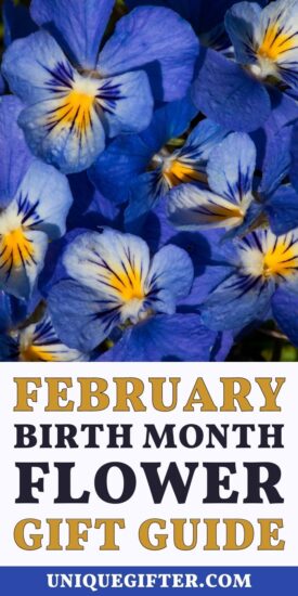 Best Birth Month Flower Gift Ideas for February | February Flower Gifts | Birth Month Gifts | Flower Gift Ideas #FebruaryFlowerGiftIdeas #FebruaryBirthdays #BestFlowerGifts #FebruaryFlowers