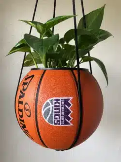 Kings basketball shaped planter 