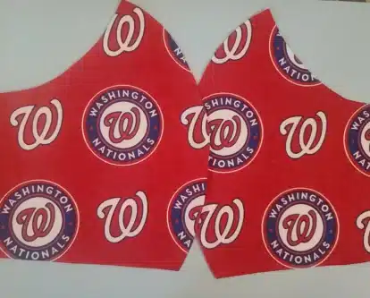 Nationals face mask 