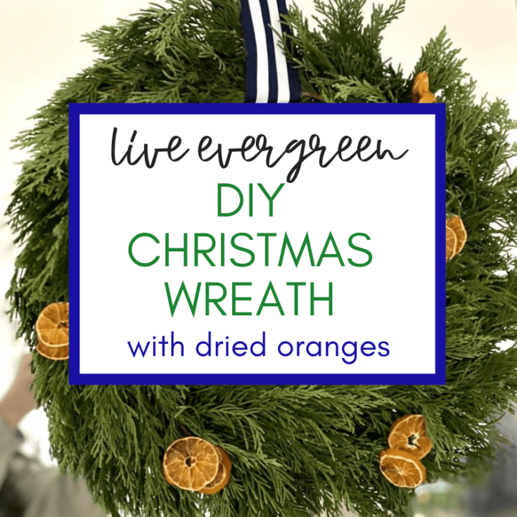 evergreen wreath with dried oranges