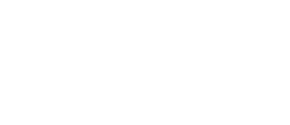 msn-logo-transparent