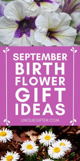 The Best Birth Month Flower Gift Ideas for September | Aster Flower Gifts | Morning Glory Flower Gifts | September Birth Flower Ideas #giftideas #septemberbirthday #septemberflower #aster #morningglory