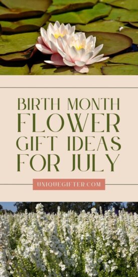 July Birth Flower Gift Ideas | Birthday Gifts for July | Larkspur Flower Gifts | Water Lily Gift Ideas | July Birthday Flowers #julybirthday #julybirthflower #larkspurflower #waterlilygifts #summerbirthday