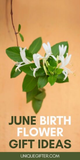June Birth Flower Gift Ideas | Honeysuckle Flower Gifts | Rose Floral Gift Ideas | June Birthday Flower Gifts | Gifts for a June Birthday #junebirthdayflower #honeysucklegifts #roseflowergifts #junebirthdaygifts #giftideas