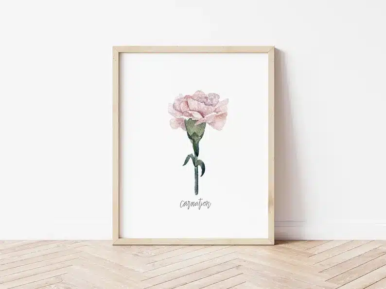 Framed January birth month flower art print of a carnation 