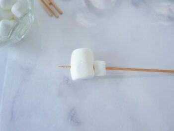 Showing bamboo skewer with mini marshmallow and now a full size marshmallow added on it. 