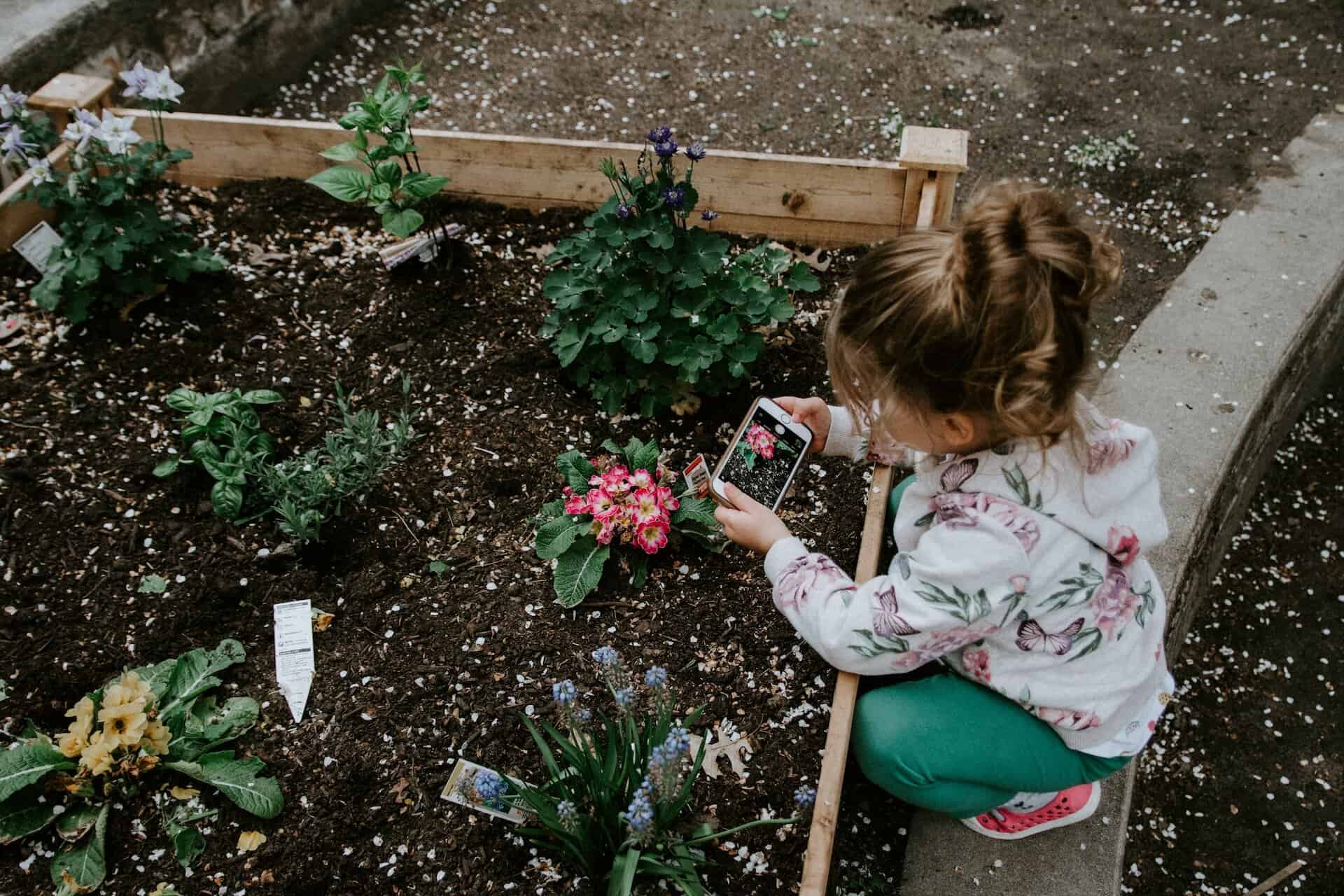 Child taking a picture of flowers grown outside