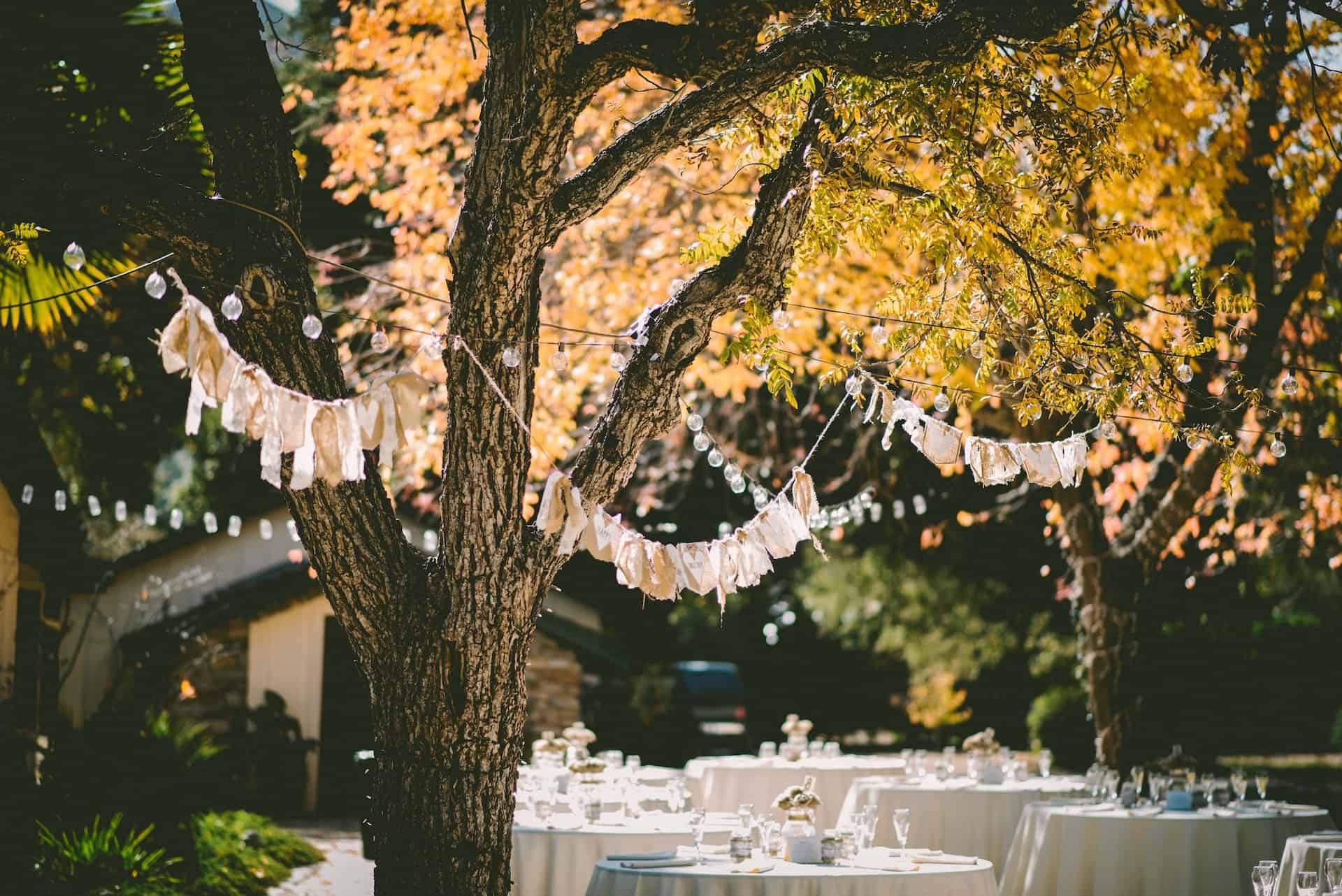 Outdoor garden party at night