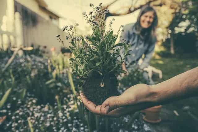 Gardening together as a couple