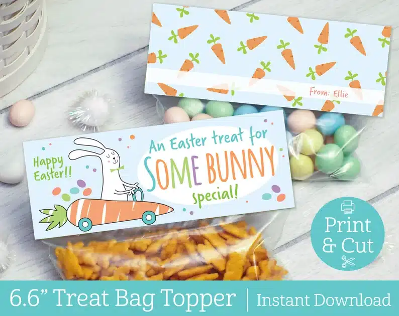 Treat bags: two treat bags one with mint colored label top with carrots all over it and mini egg candy in the bag, and the other with a white bunny driving a carrot car that says an Easter treat for some bunny special and bunny crackers in the clear bag. 