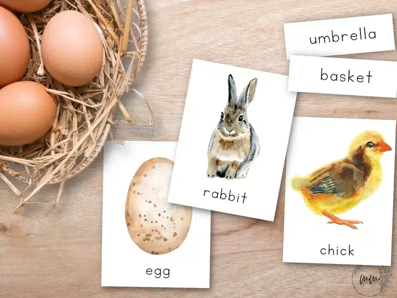 Showing three white cards with an egg, rabbit, and chick pictured and written below it. 