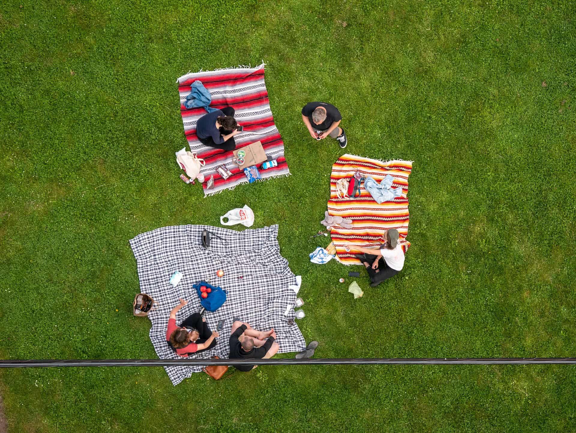 Family on an outdoor picnic