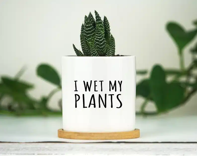 White plant pot with black font that says 