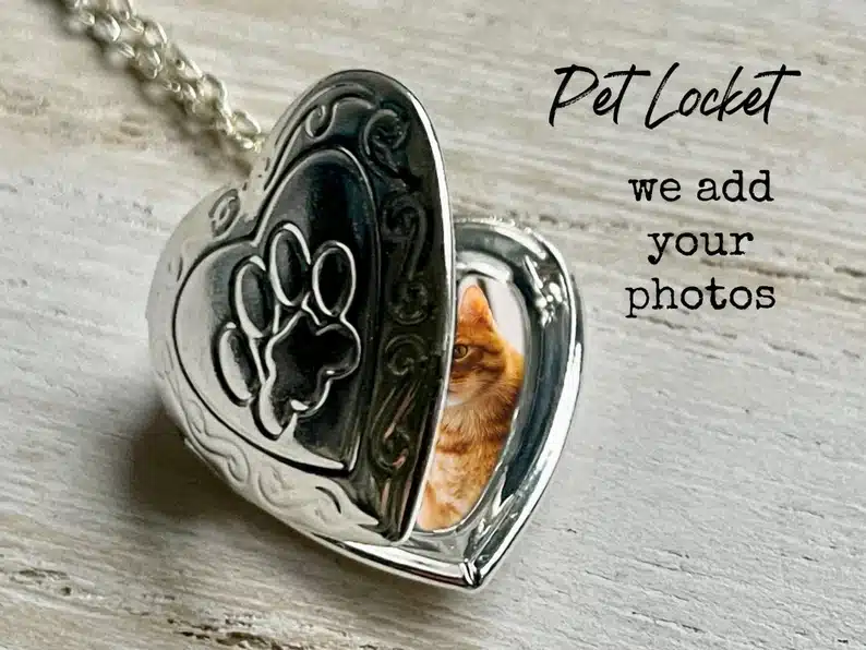 Silver heart locket with a paw print on it and a cat photo inside. 