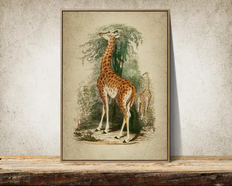 Giraffe wall print. 