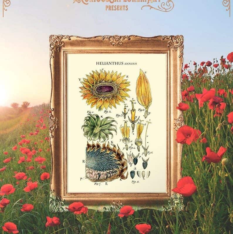Botanical Art Poster
