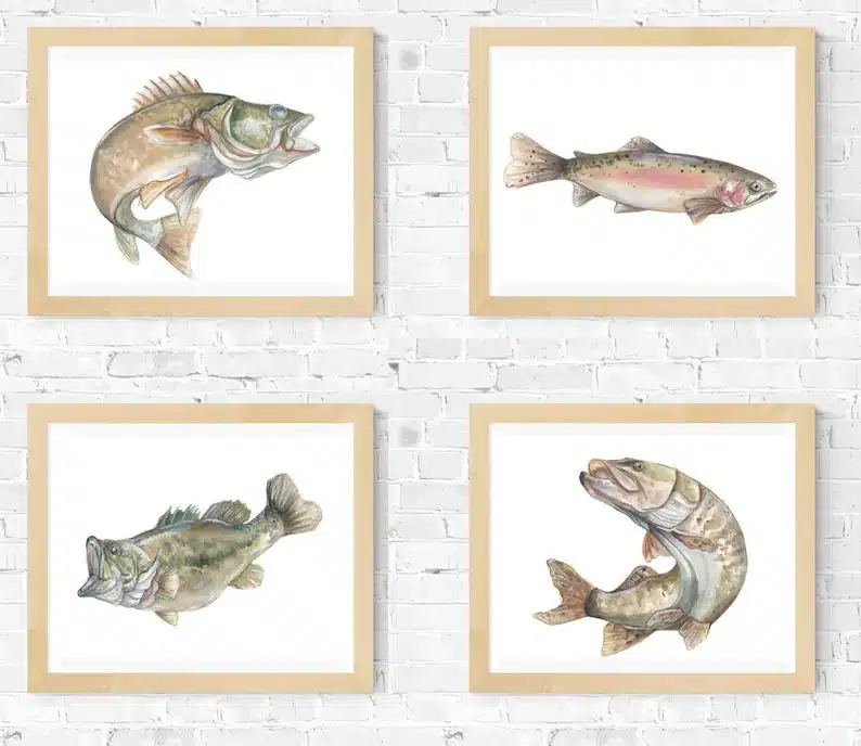 Father's Day Gifts for a Fisherman - Four fish prints all framed with wooden frames. 