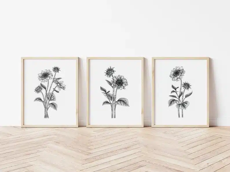 Three white prints all framed in light wood. With black prints of sunflowers. 