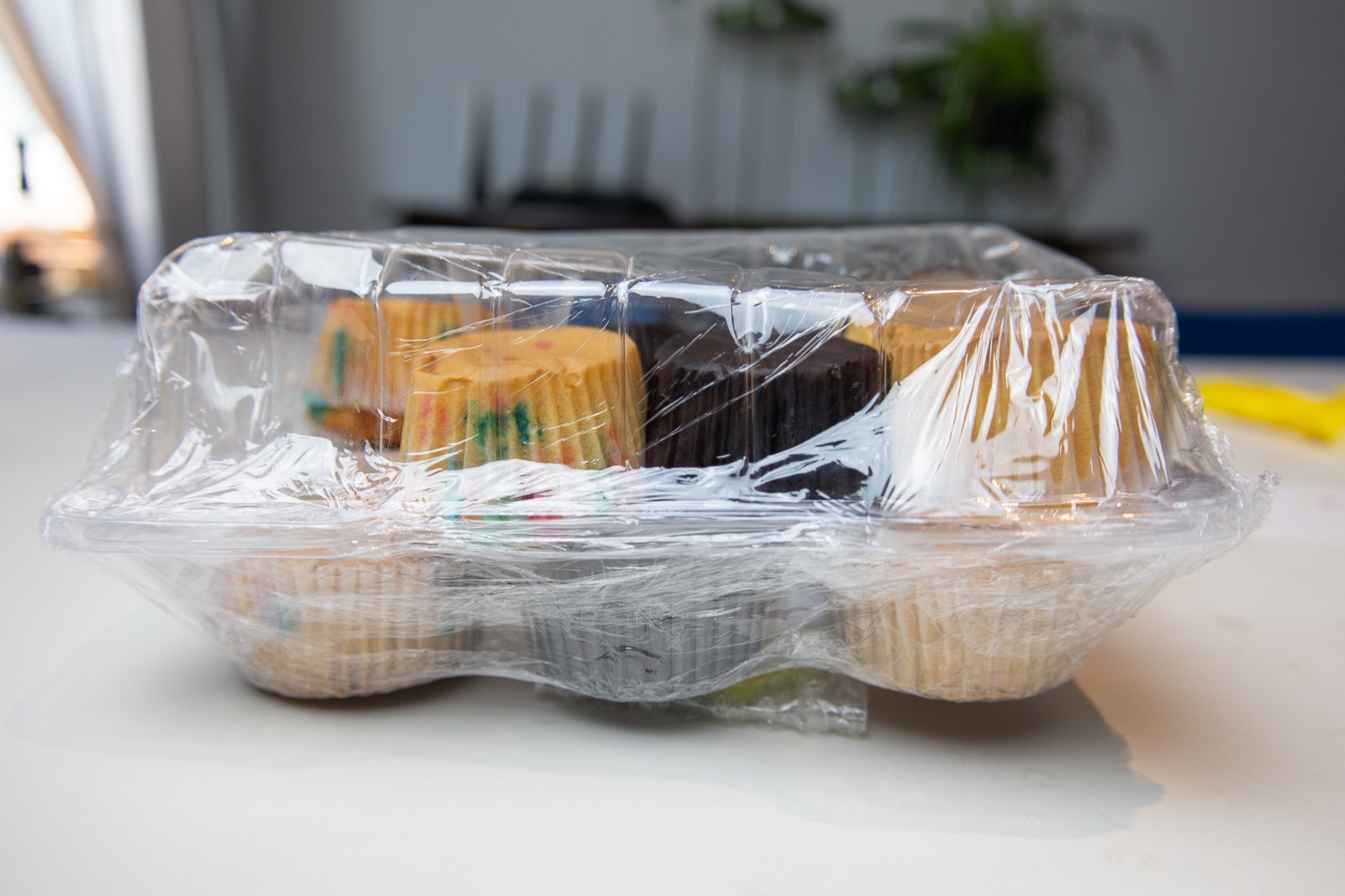 Sweetology cupcakes packaged