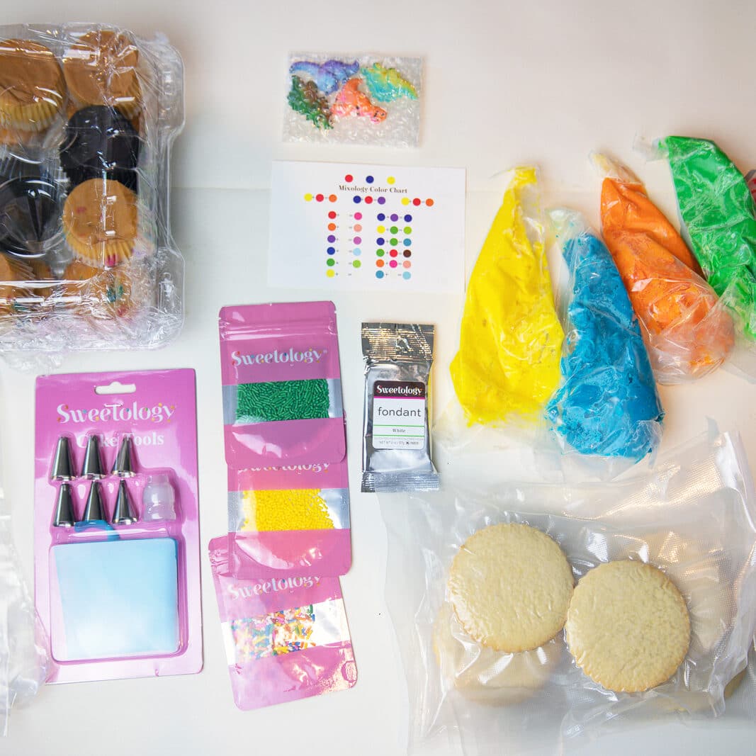 Cupcake decorating kit