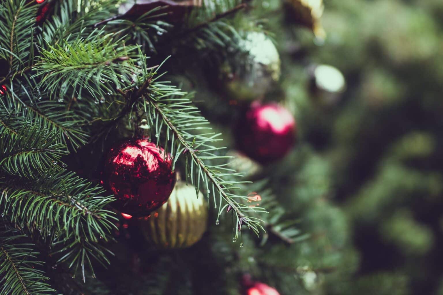 A christmas tree with ornaments