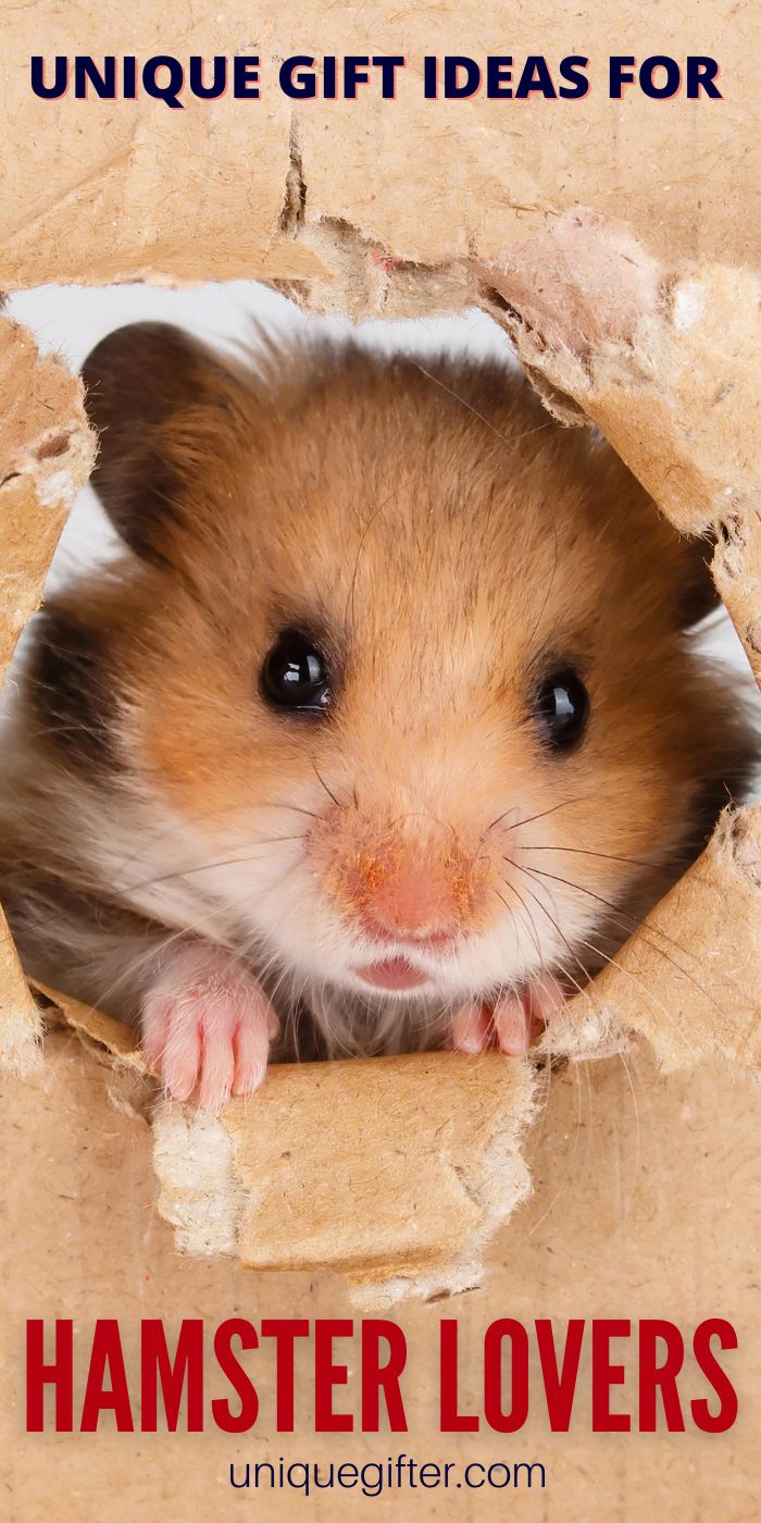 hamster toy ideas