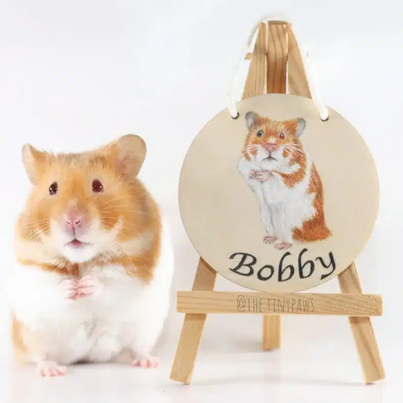 Unique Gift Ideas For Hamster Lovers - a real hamster standing next to a personalized wooden sign of him. 