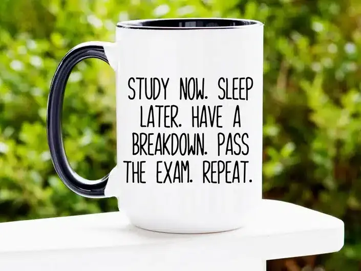 Funny Mug gift idea for college students