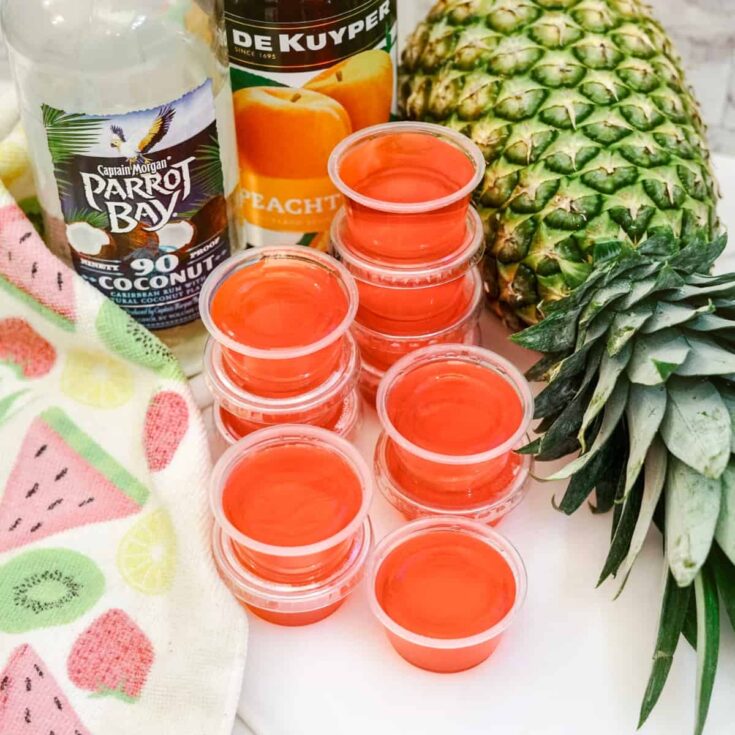 Image for Best Bahama Mama Jello Shots