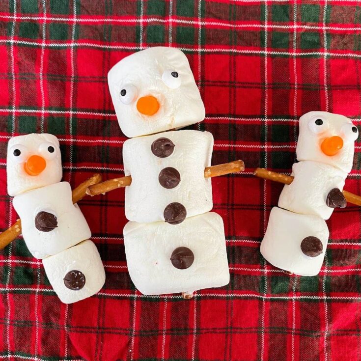 Image for Marshmallow Snowman Craft for Kids