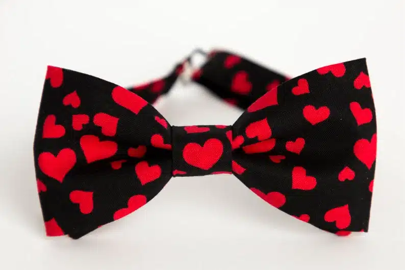 Heart bow tie for Valentine's Day